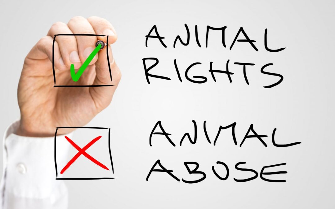 ¿Cuándo necesito un abogado de Derecho Animal?