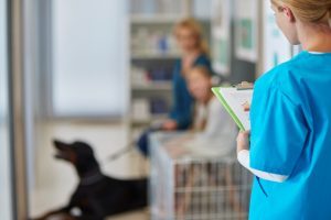 doctor asking next client from the queue 300x200 - ¿Cuáles son las obligaciones que debe cumplir un veterinario?