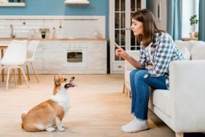 Side View Of Woman On The Couch Training Her Dog 1