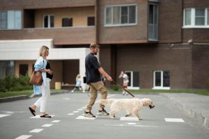 Pareja Paseando Perro Tiro Completo